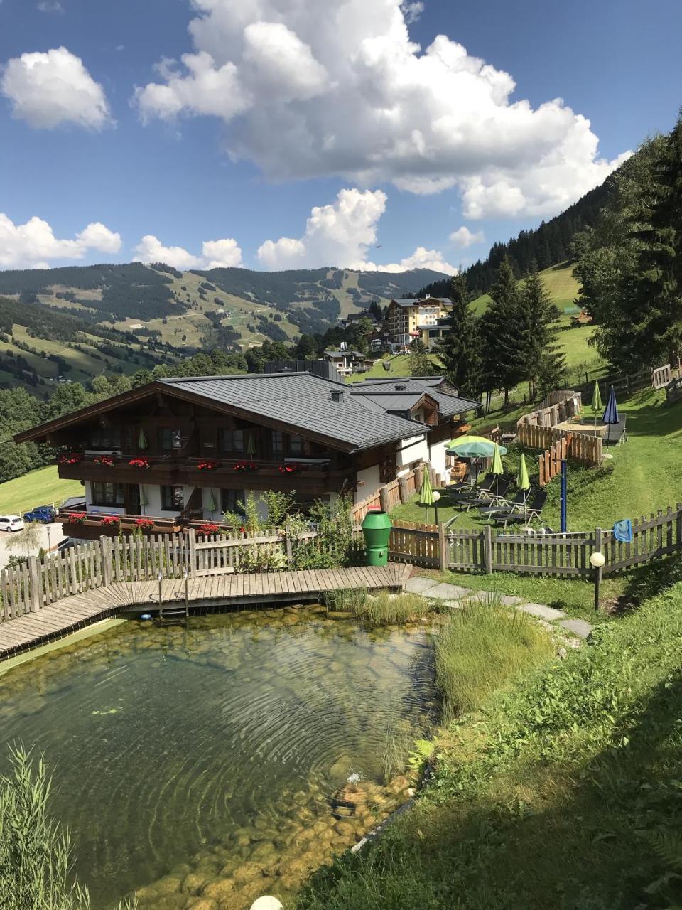 Appartementhotel Hechenberg Зальбах-Гінтерглемм Екстер'єр фото